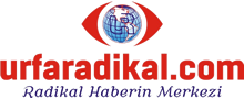 logo_3